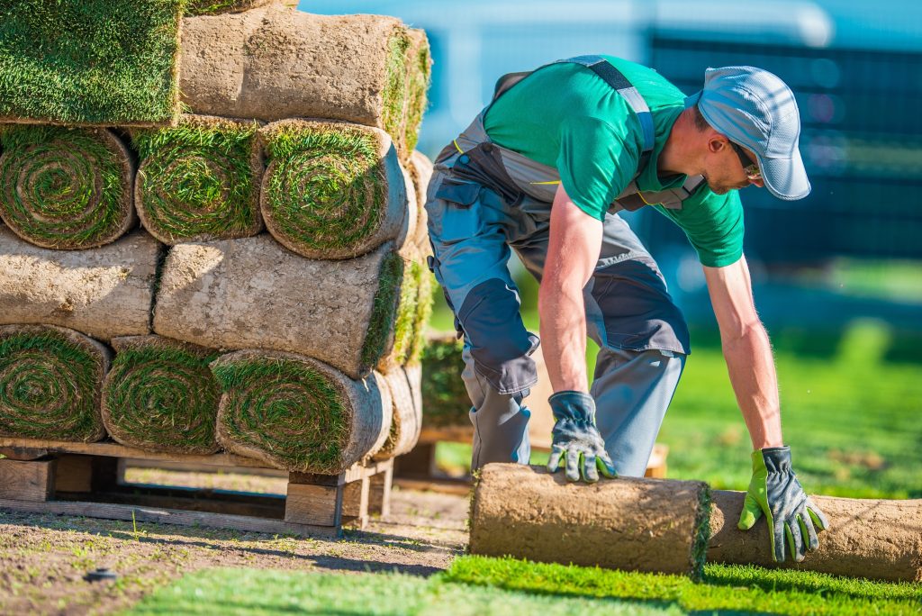 647888ca92d03e3fca3f2388 landscaping